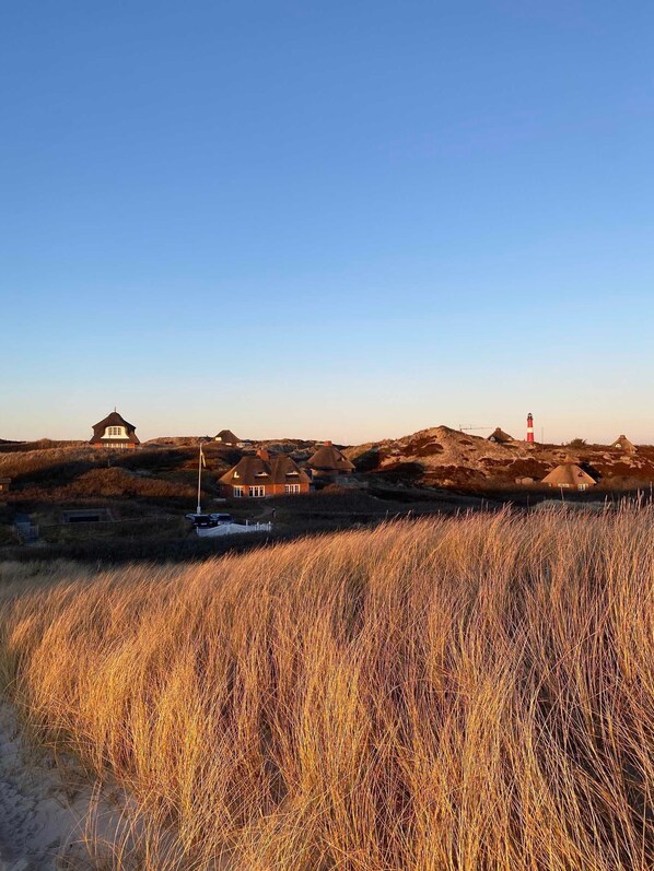 Un paysage côtier avec des maisons et un phare.