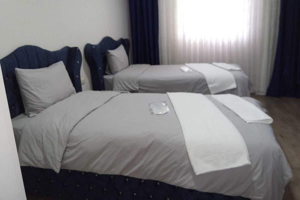 Habitación estándar con 2 camas individuales | Tabla de planchar con plancha, wifi gratis y ropa de cama