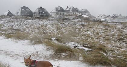 Stranddüne, Germany