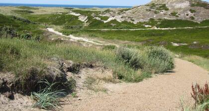 Stranddüne, Germany