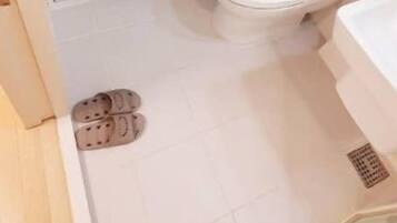 Hair dryer, soap, shampoo, toilet paper