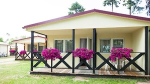 Un motel a piano terra con un portico coperto, numerose finestre e piante in vaso.