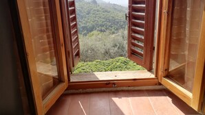 Ein Balkon mit geöffneten Holzhörnern, der Blick auf einen bewaldeten Hang bietet.