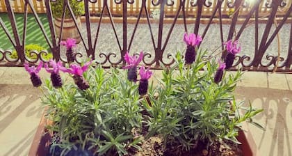 House for 16 people Can Blay - private pool