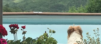 The Ultimate Escape from city heat!  Beautiful farmhouse peaceful & private pool