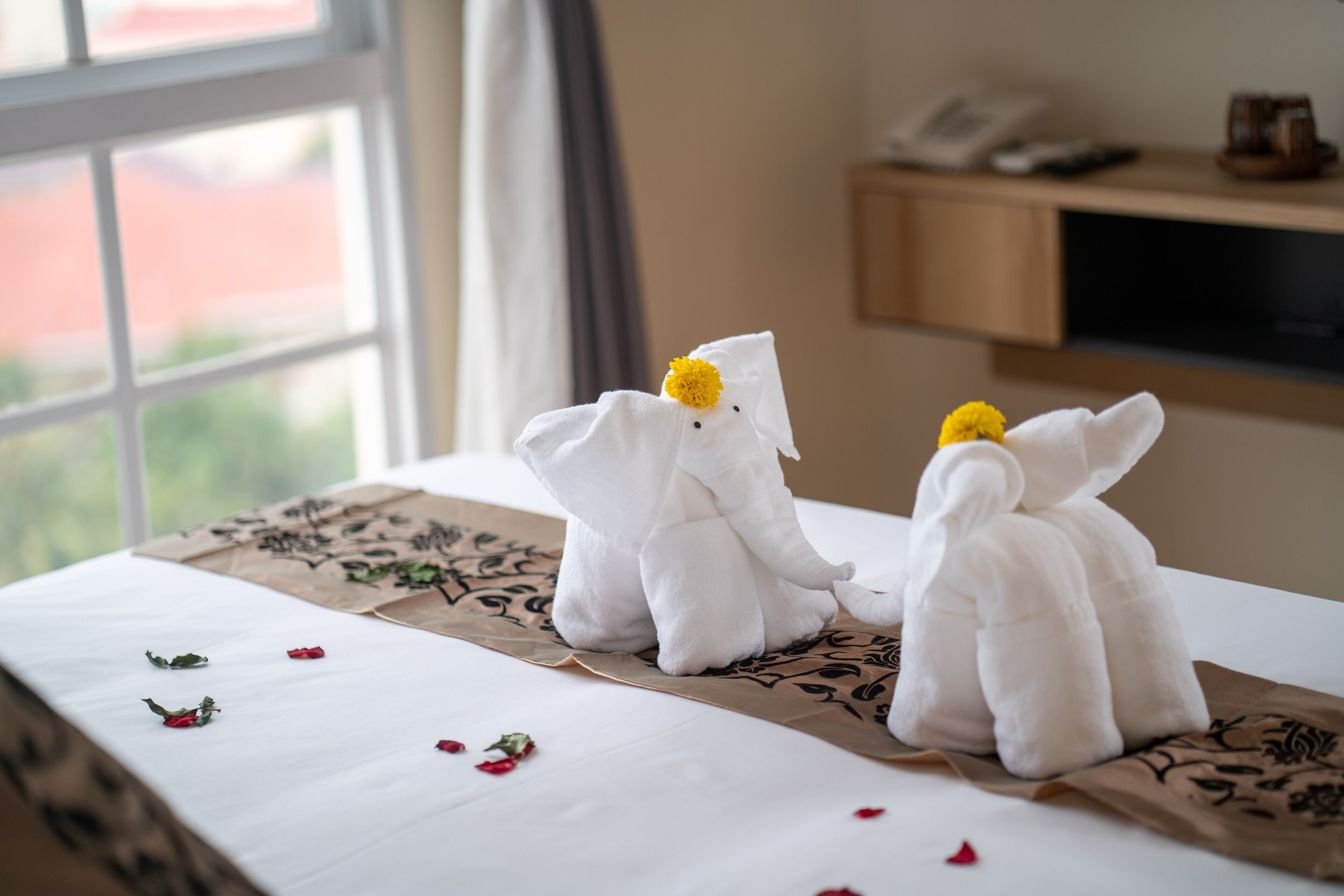Photo - TK View Hotel Apartment