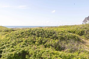 Nicht klassifiziertes Bild, 3 von 27, Schaltfläche