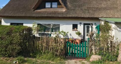 Ferienwohnung Bernstein - Ferienwohnung