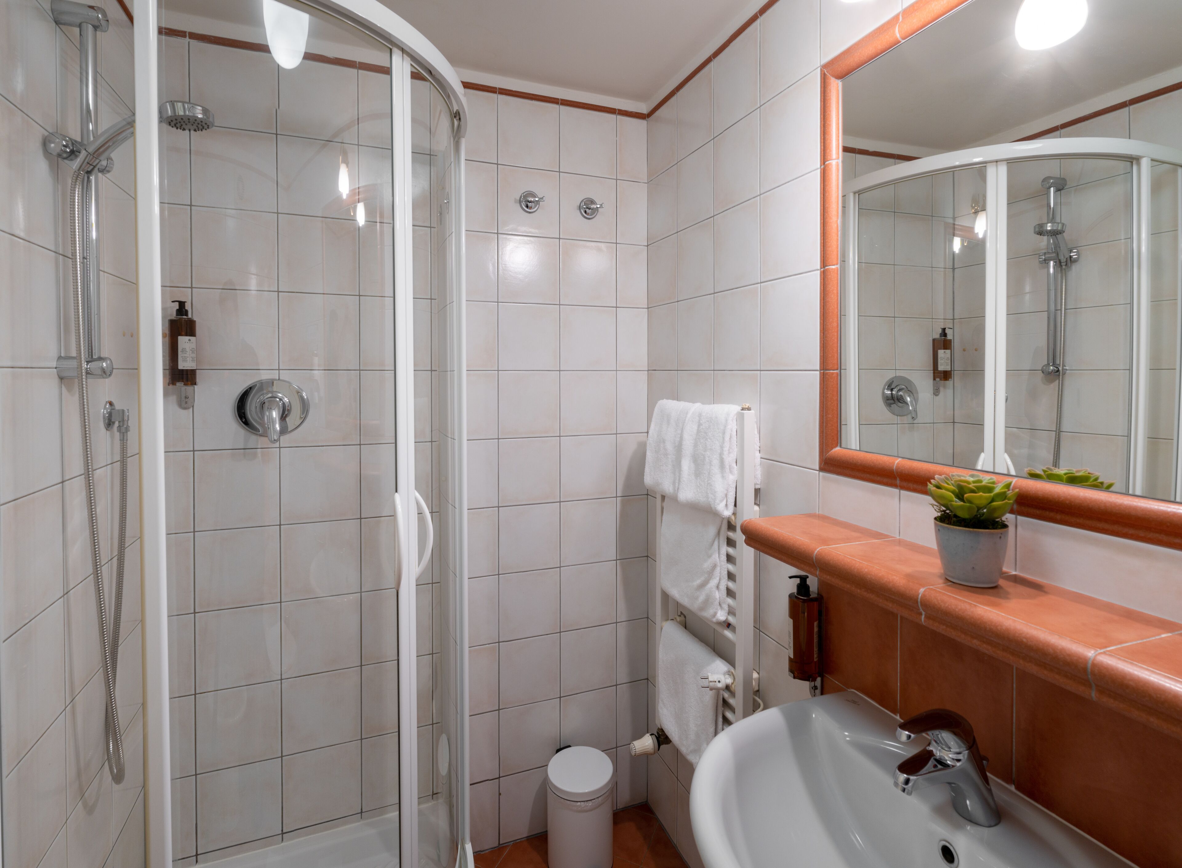 A modern bathroom with a glass-enclosed shower, a white sink, and a mirror.