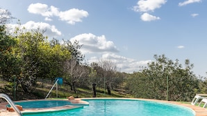 Una piscina circular con cubierta de madera, rodeada de árboles y un cielo despejado.