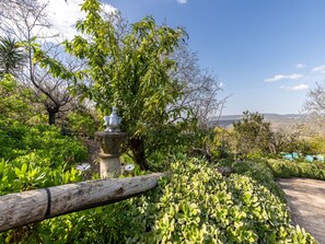 Escape to a serene oasis surrounded by lush greenery and a soothing fountain.