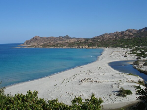 在海灘附近