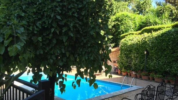 A swimming pool surrounded by lush greenery and potted plants. - Le Querce (Formello)