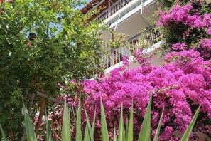 Exterior - Vaya Zorba Studios (Skiathos)