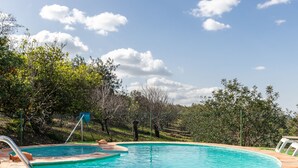 Une piscine circulaire entourée d’une terrasse en bois, bordée d’arbres et surplombée par un ciel dégagé.