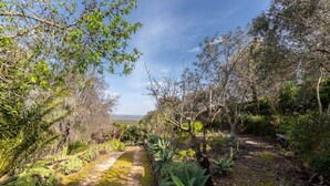 Un sentier de jardin bordé de différentes plantes et arbres, qui mène à un point de vue panoramique.