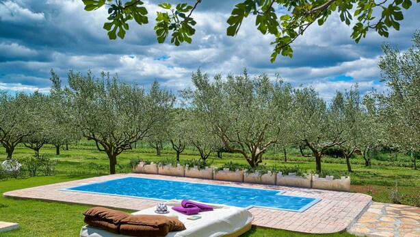 A pool area with a mattress and pillows, surrounded by a brick patio and lush greenery. - Casa Oliveto - relax in Nature (Marčana)