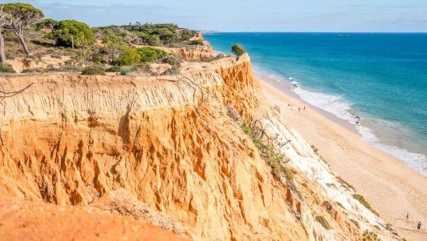 Una scogliera a picco sul mare con una spiaggia.