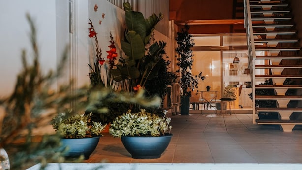 Een modern interieur met een trap, kamerplanten en een zithoek.