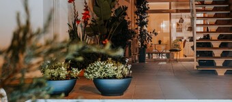 Casa Morgado's Boutique Guesthouse