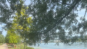 Un parque junto al río con asientos, un camino pavimentado y vistas al agua.