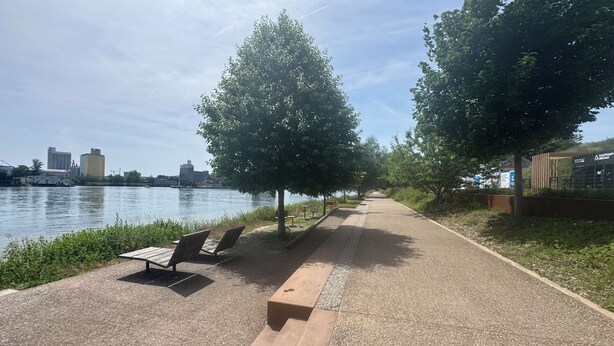 Un paseo ribereño con bancos, árboles y vistas del horizonte urbano.