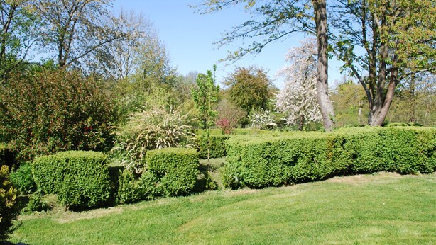 A well-maintained garden with neatly trimmed hedges, a variety of trees, and a clear blue sky. - GITE AUX FLEURS DE CERISES - Le Plessis Luzarches (95) _ 4 people (Le Plessis-Luzarches)