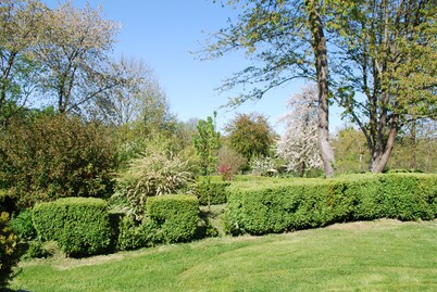 GITE AUX FLEURS DE CERISES - Le Plessis Luzarches (95) _ 4 people