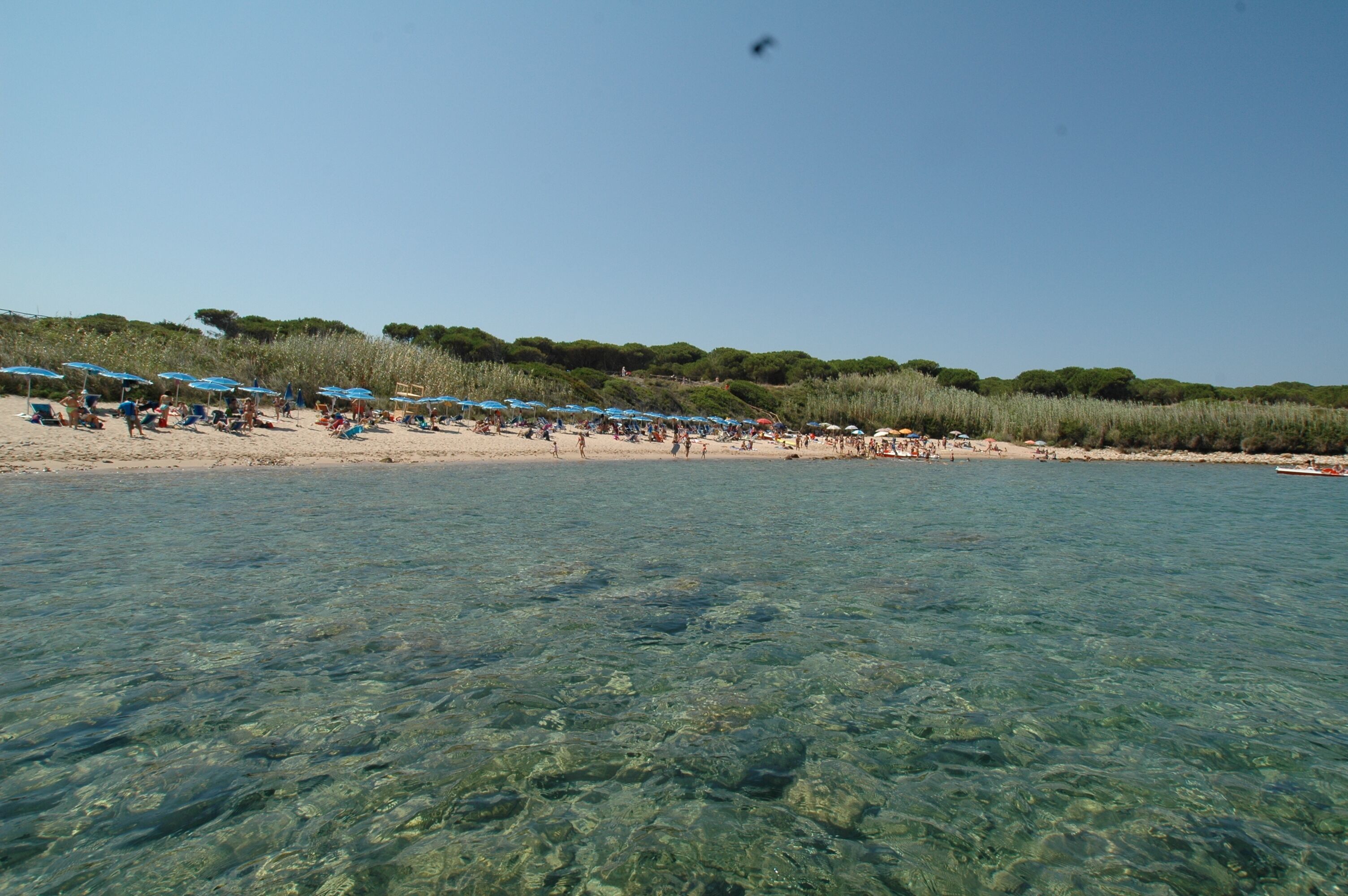 Una playa cerca