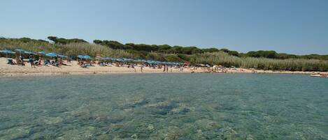 Una playa cerca