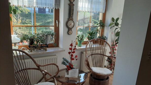 Interior - Hotel-Gasthof - Zum Döhlerwald (Klingenthal)