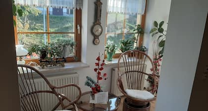 Hotel-Gasthof - Zum Döhlerwald