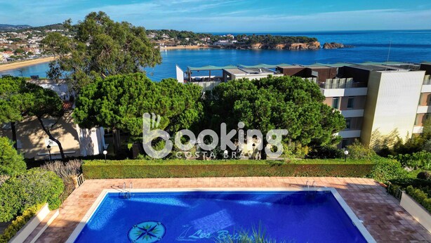Una piscina con diseño de brújula, rodeada de vegetación y con vistas a la costa.
