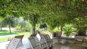 Een overdekt terras met houten stoelen en een tafel, omgeven door weelderige begroeiing en bomen.