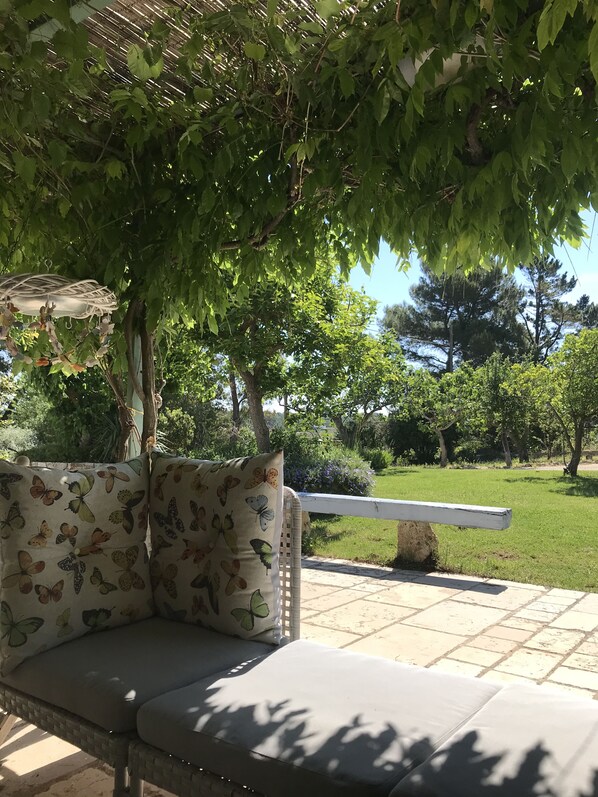 Terraza o patio