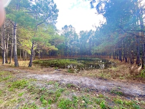 A forested area with a pond and a dirt path. - Private&Secluded Getaway, near I-75,town, parks,Springs. Glamping ,low key style (Lake City)