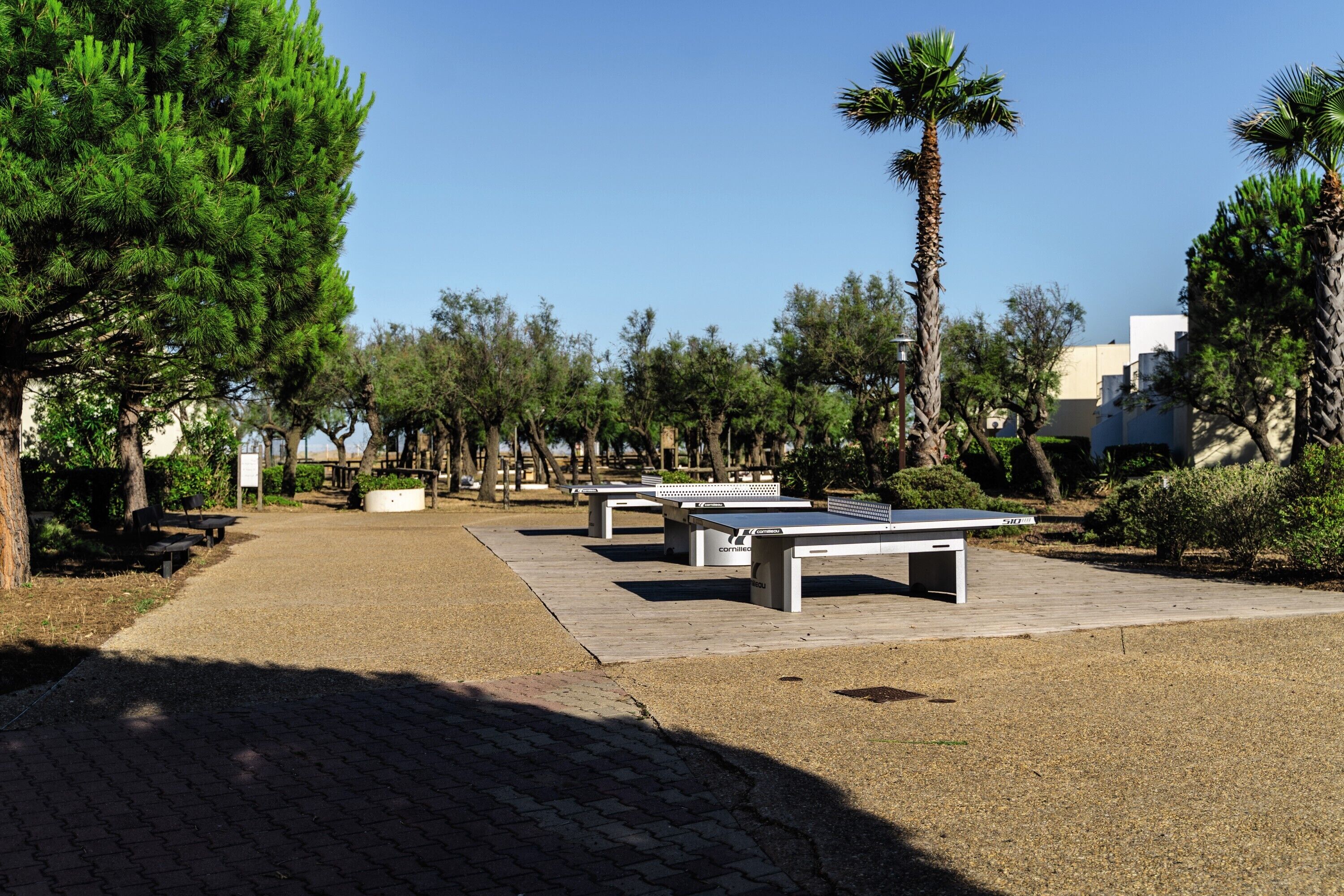 Un espacio al aire libre con mesas de ping pong, bancos y palmeras.