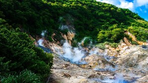 A natural hot spring surrounded by lush greenery.
