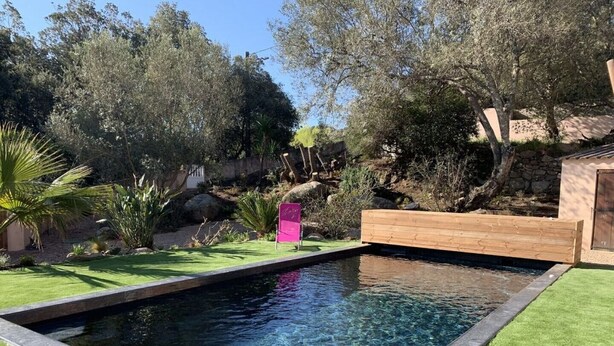 Ein rechteckiger Swimmingpool mit klarem Wasser, umgeben von gepflegtem Rasen und verschiedenen Sträuchern.