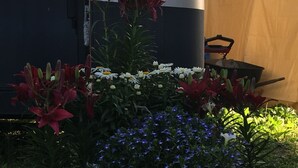 Ein Garten mit roten und weißen Blumen, einer schwarzen Struktur und einer gelben Plane.