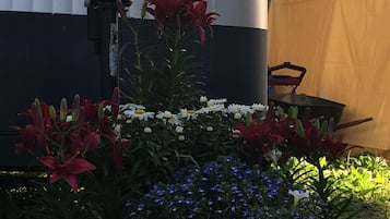 Área da propriedade