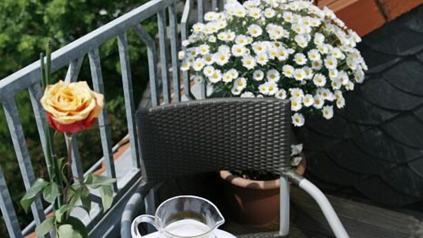 Ett bord med en kanna lemonad, ett glas apelsinjuice och en skål med jordgubbar på en balkong med ett räcke, en krukväxt med vita blommor och en ros.