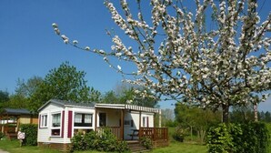Husvogn (4 Pers) | Terrasse/patio