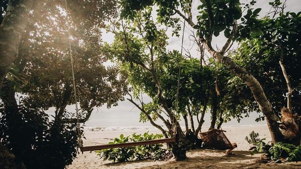 Une scène de plage avec des arbres, un hamac et une zone sablonneuse.