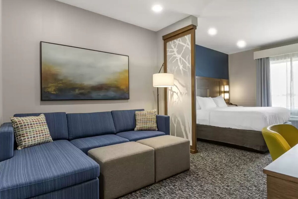 Suite, 1 très grand lit, accessible aux personnes à mobilité réduite, non-fumeur (Bathtub)