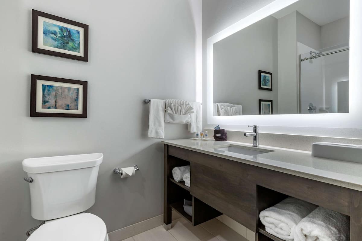 Een moderne badkamer met toilet, wastafel en spiegel. Twee kunstwerken hangen in lijsten aan de muur.