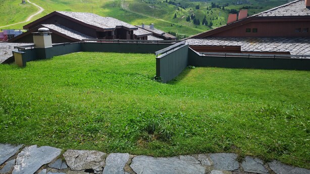 Un paysage montagneux avec des bâtiments dotés de toits inclinés, un sentier en pierre et une zone herbeuse.