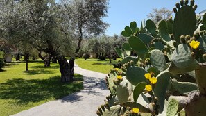 Property grounds - Affittimoderni S. Andrea Apartments - Sa552 (Sant'Andrea Apostolo dello Ionio)