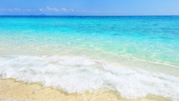 Beach - Affittimoderni S. Andrea Apartments - Sa552 (Sant'Andrea Apostolo dello Ionio)