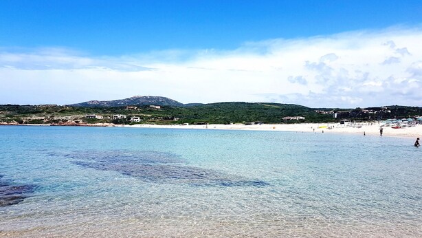 A beach with clear water, sandy shore, and buildings in the background. - Affittimoderni Isola Rossa Élite - Pati19 (Trinità d'Agultu e Vignola)